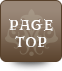 pagetop